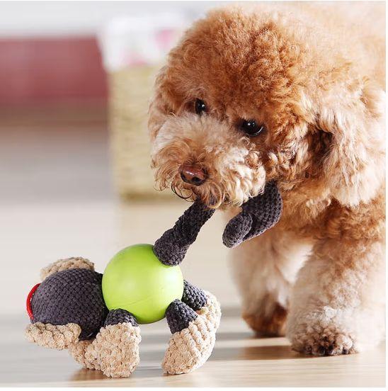 Vamos descobrir a magia dos brinquedos para animais de estimação