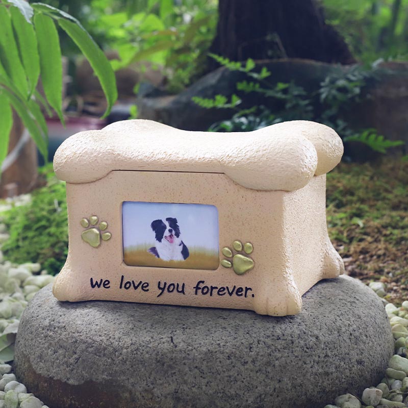 As urnas memoriais de animais permitem que o amor e a companhia continuem