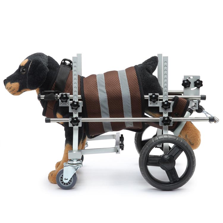 Acessível para cadeiras de rodas para animais de estimação com deficiência